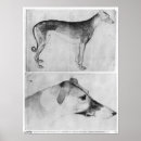 Search for inv no posters Animal