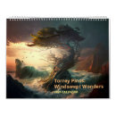 Search for windswept Landscape