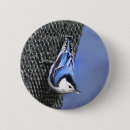 Search for breasted badges Bird