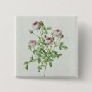 Search for budding badges Rose