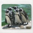 Search for thinking of you mousepads Birthday