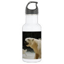 Search for polar bear water bottles Global warming