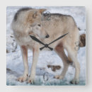 Search for arctic wolf art Animal lovers