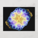 Search for sea urchin postcards Ocean