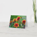 Search for blanket cards Nature