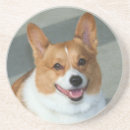 Search for welsh coasters Animal