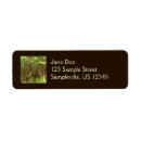 Search for san francisco ca return address labels California