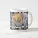 Search for funny kitten mugs Cute