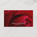 Search for macro rose Floral