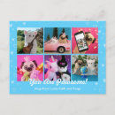 Search for blue hearts postcards Cute