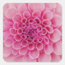 Search for macro flower stickers Closeup