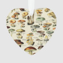 Search for vintage mushroom christmas tree decorations Brown