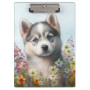 Search for husky clipboards Pets