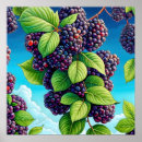 Search for blackberry art Food