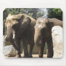Search for pachyderm mousepads Wildlife