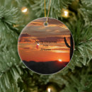 Search for arizona christmas tree decorations Cactus