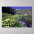 Search for ouray posters Landscape