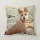 Search for blue heeler home decor Queensland
