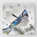 Search for atlas clocks Blue atlas cedar