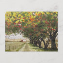 Search for orchard postcards Water