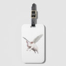 Search for flying pig Illustration