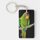 Search for green parrot key rings Animal