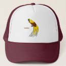 Search for paradise hats Bird of paradise