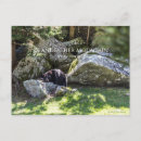 Search for grandfather postcards North carolina