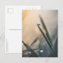 Search for blade postcards Floral