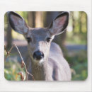 Search for mule mousepads Doe
