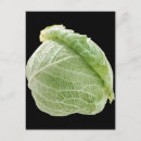 Search for cabbage postcards Food