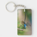 Search for dragon fly key rings Beautiful
