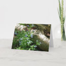 Search for upper peninsula cards Yooper