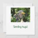 Search for beak cards invites Bird