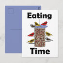 Search for backyard birds postcards Bird feeder