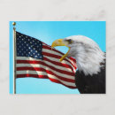 Search for bald eagle and american flag postcards Independence