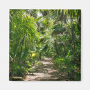Search for tropical climate magnets Palm tree