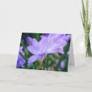 Search for freesias cards Garden