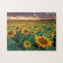 Search for sunflower puzzles Colorado