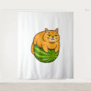 Search for memes tapestries Crazy cat lady