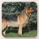 Search for dog show barware Canine photographer