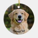 Search for golden retriever christmas decor Winter