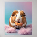 Search for guinea pig posters Pet