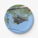 Search for frog paper plates Pond