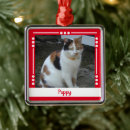 Search for cat photo christmas tree decorations Memorial