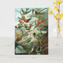 Search for hummingbird cards Trochilidae