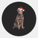 Search for chocolate lab puppy stickers Animal