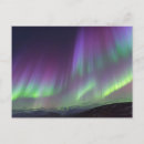 Search for star light postcards Blue