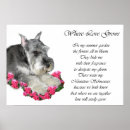 Search for schnauzer art Cute