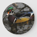 Search for crystal clocks Green